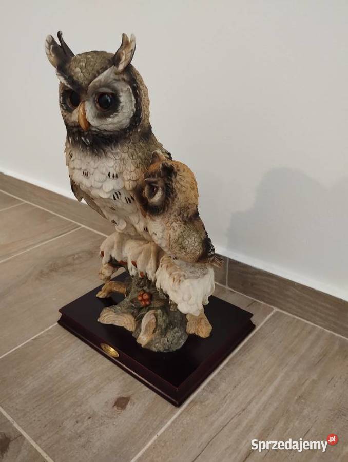 S O W Y żywe Ustroń