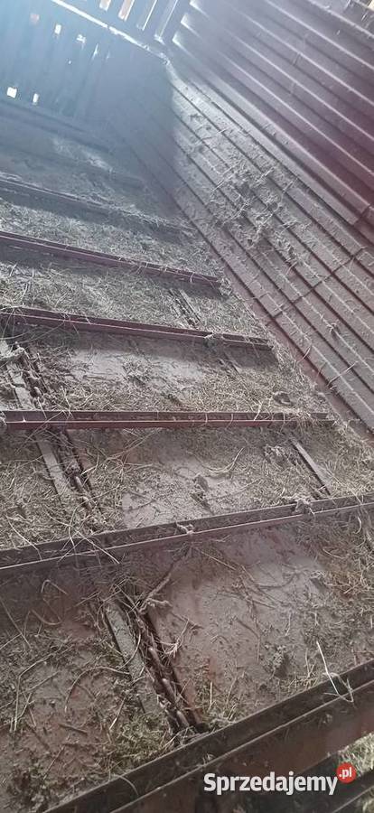 Zbierajaca z Kunowa T055 stan