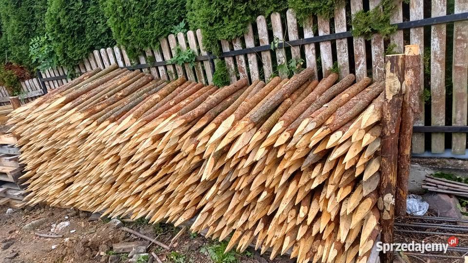 Faszynowanie stawów mazowieckie Grębków