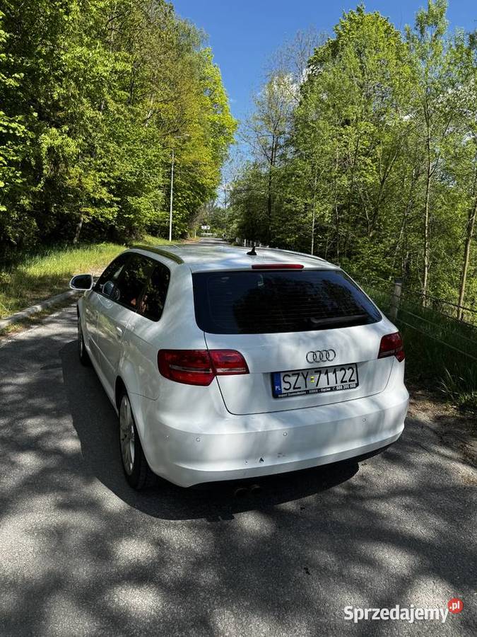 Audi A3 20 TDI COMMON RAIL Cisiec sprzedam