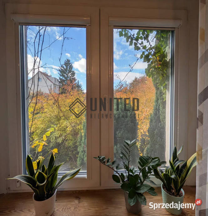 Zielnej dolnośląskie Wrocław