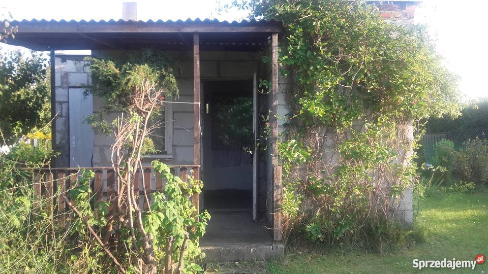 sprzedam działkę ogrodniczą Tczew CZyżykowo ROD siatka sprzedam