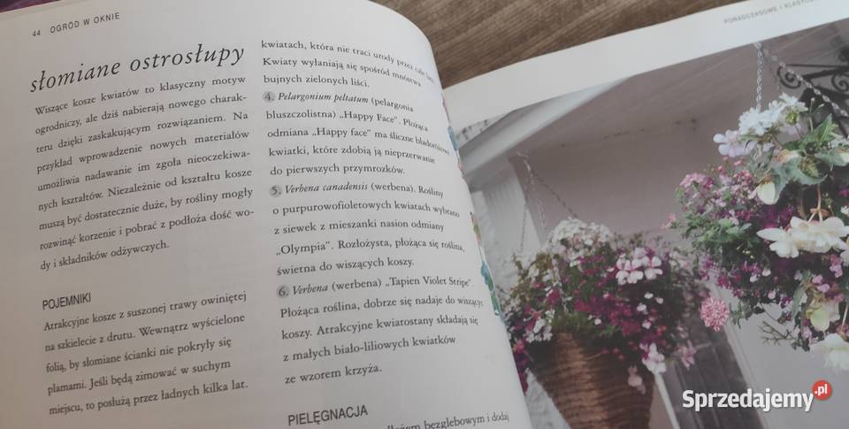 Ogród w oknie na wyciągnięcie ręki dom i ogród Gdańsk