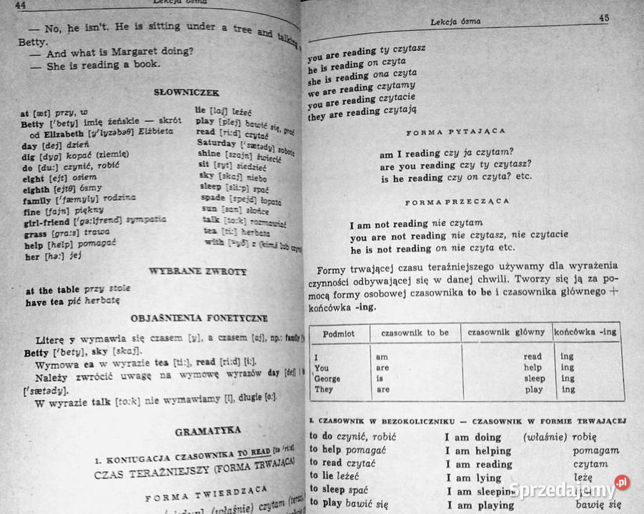 Język angielski początkujących Irena Dobrzycka