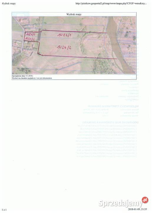 Działka rolnosiedliskowa 50300 m2 Pilicą prąd Grunty i działki Łęg Ręczyński sprzedam