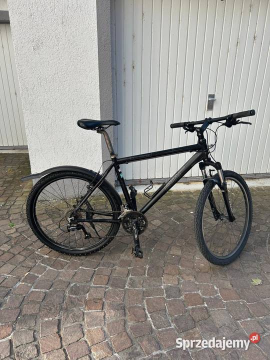 Rower trekkingowy BMC Company gotowy do jazdy pomorskie Starogard Gdański