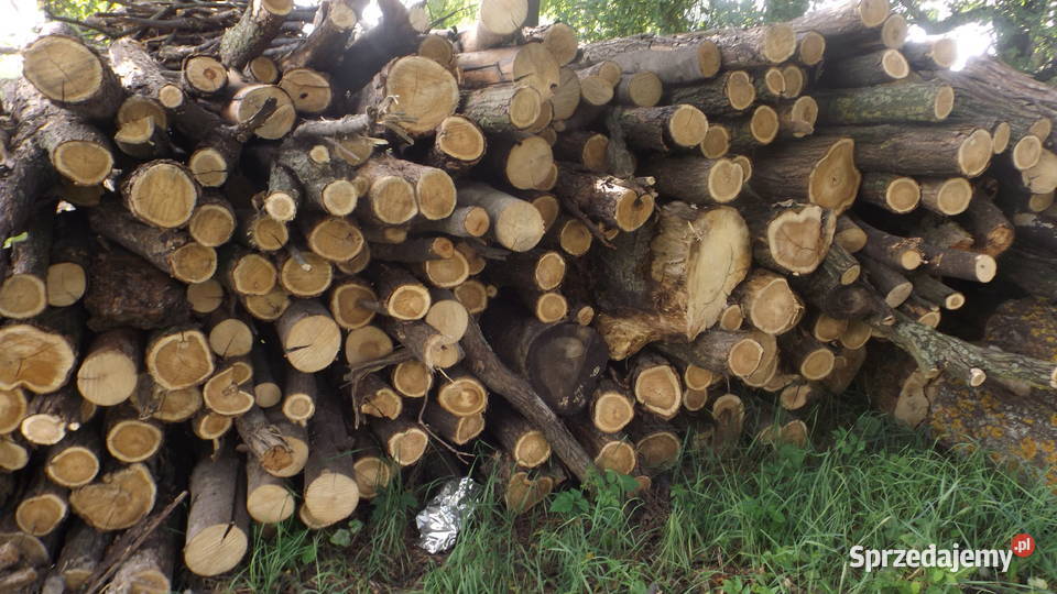 Drewno opałowe jesion i akacja suche
