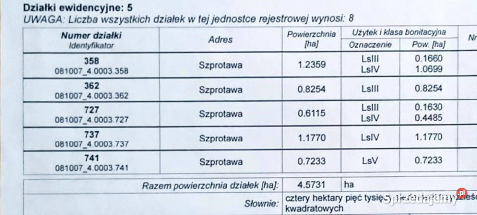Las dębowy lubuskie Szprotawa