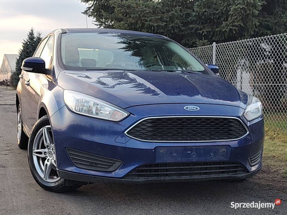 FORD FOCUS BENZYNA wielkopolskie Leszno sprzedam
