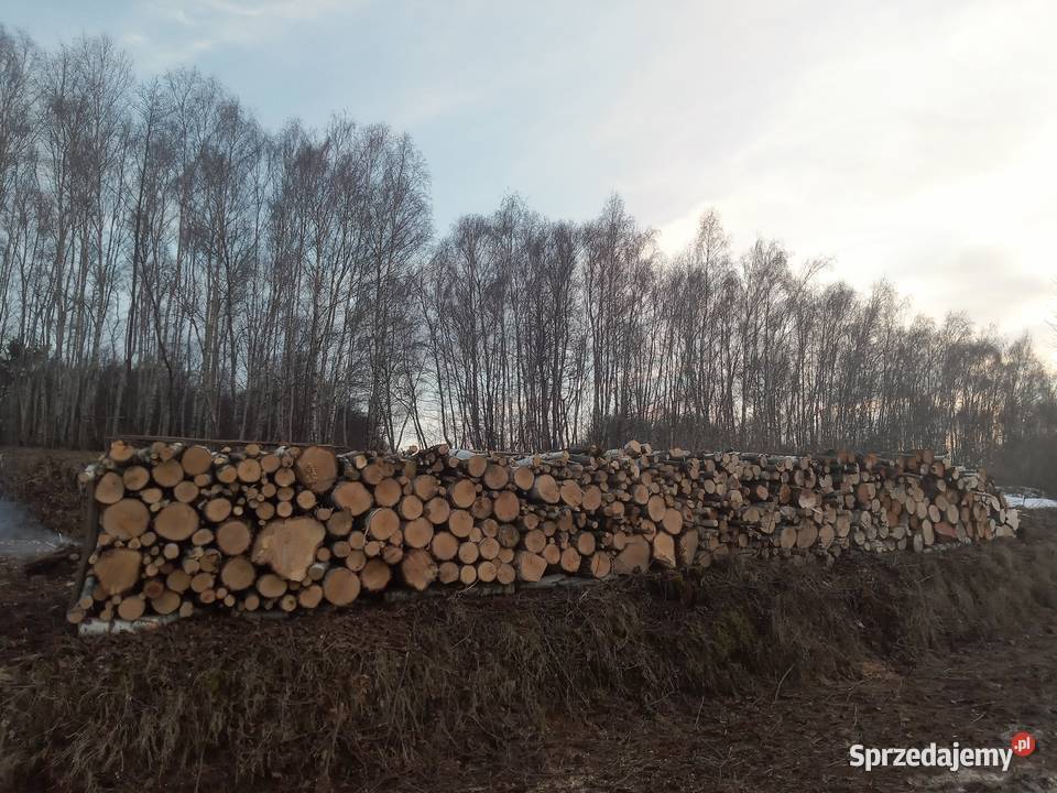 Drewno opałowe lubelskie Huta Turobińska