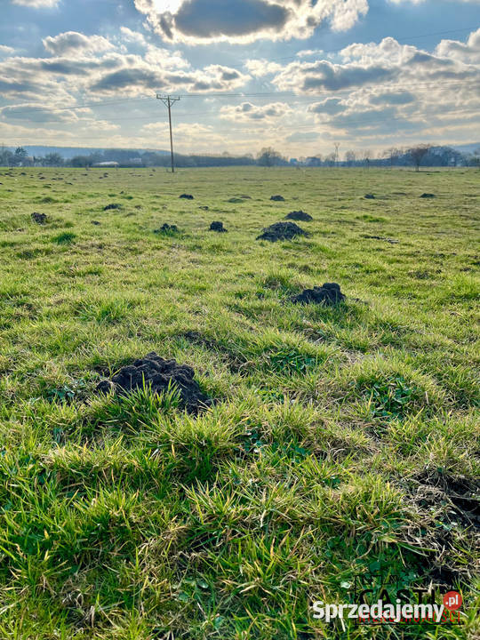 Oaza spokoju Działki w malowniczej Redzie pomorskie Reda sprzedam