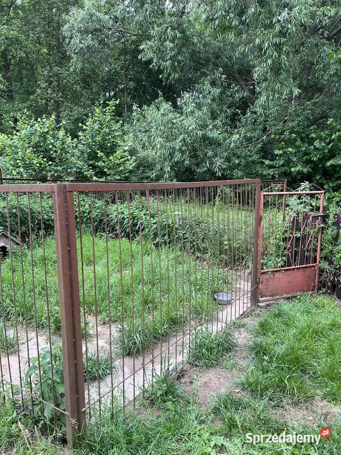 Kojec psów duży spawany mocny z furtką Bukowiec sprzedam