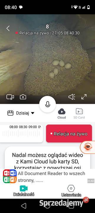 Amazonka budka lęgowa Wodzisław Śląski