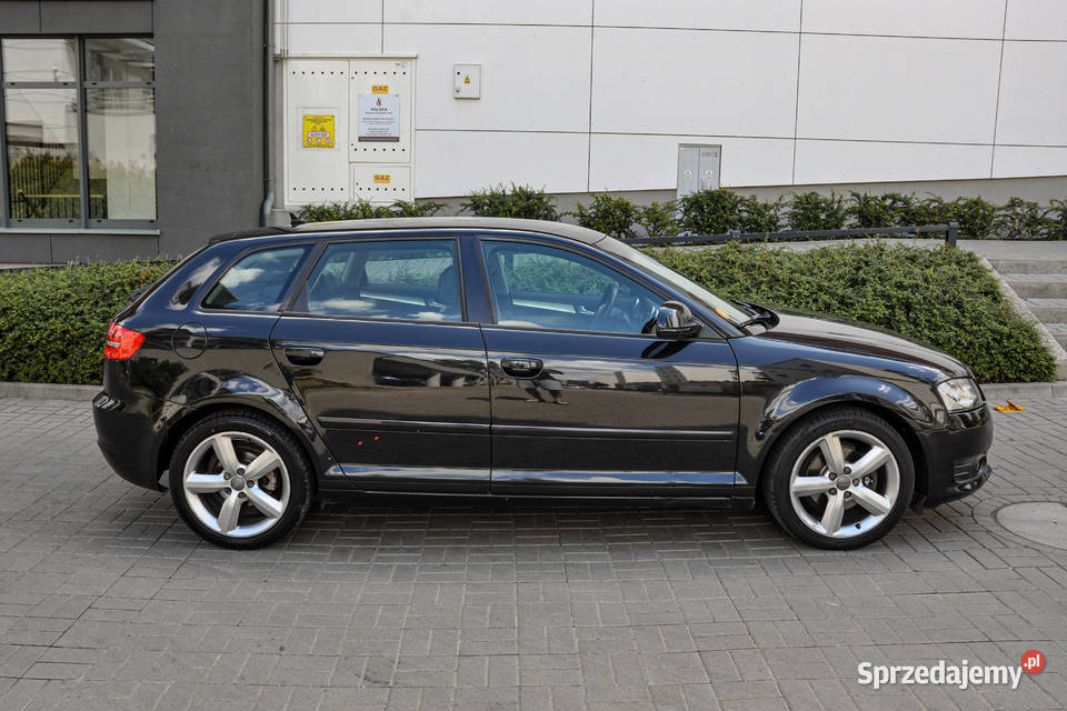 Audi A3 8P 19TDI Lift Skóry Wrocław