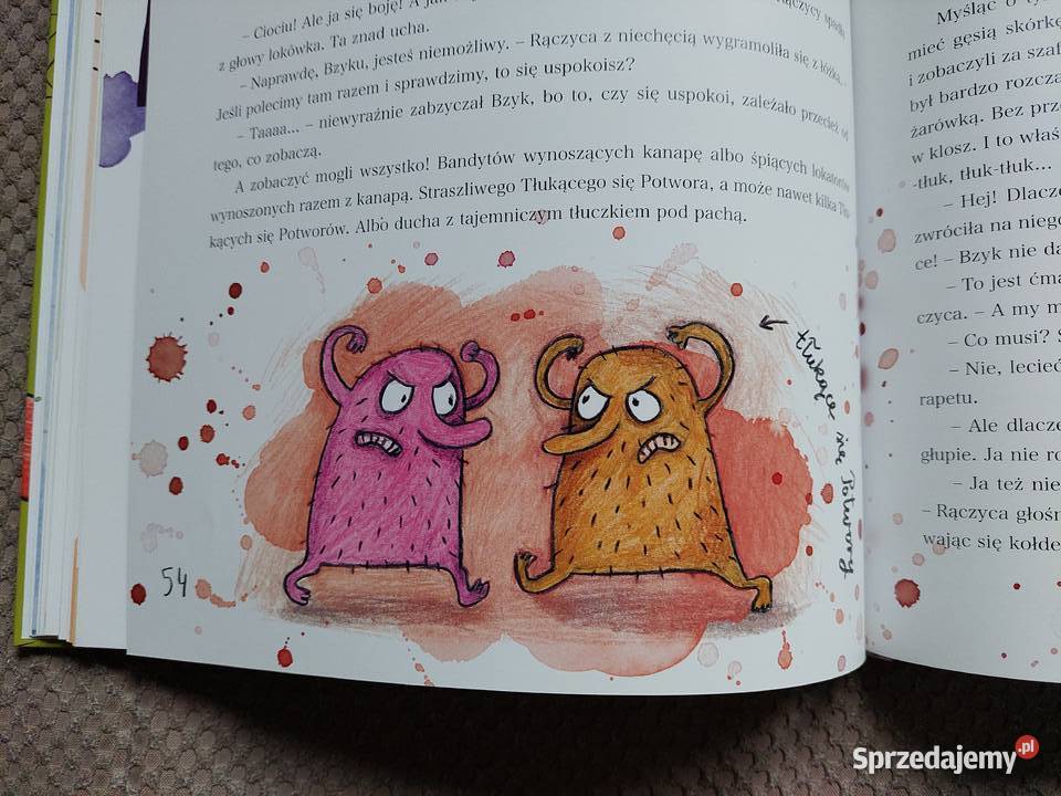 nowa Bzyk Brzęk R JędrzejewskaWróbel Kraków sprzedam
