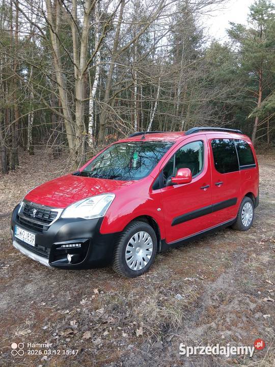 Sprzedam Peugeot wielkopolskie Babiak