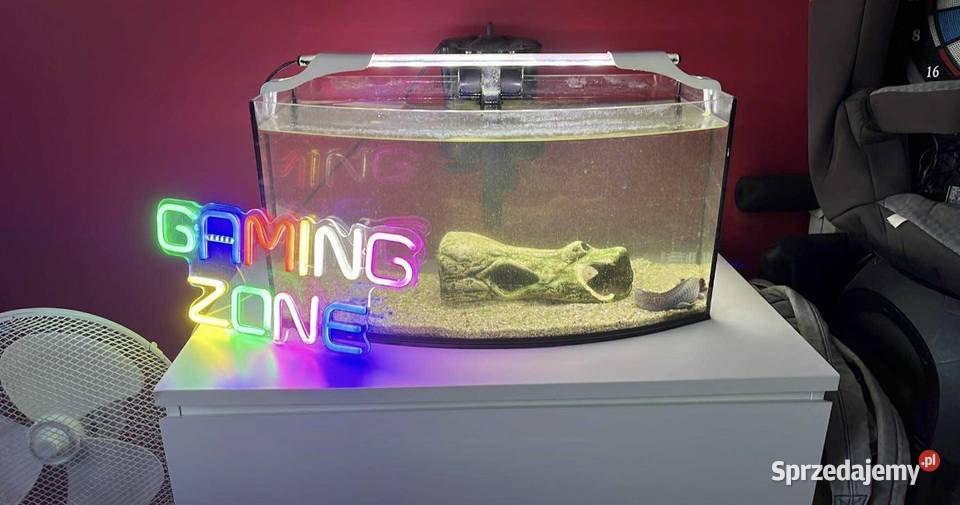Zestaw Akwarium z Aksolotlem Z komodą Ledami Bojanowo