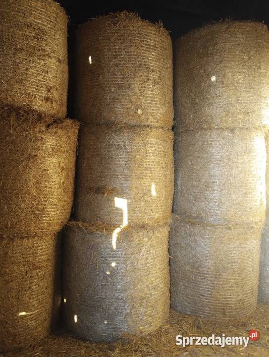 Sprzedam słomę Rolnictwo łódzkie Ozorków