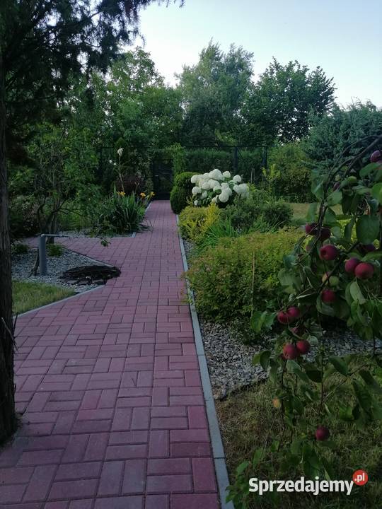 Sprzedam ogródek działkowy 95zł/m2