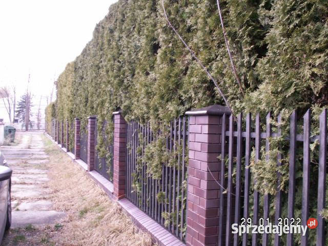 Grunt Wolica 1530m2 2zł/m2 mazowieckie sprzedam