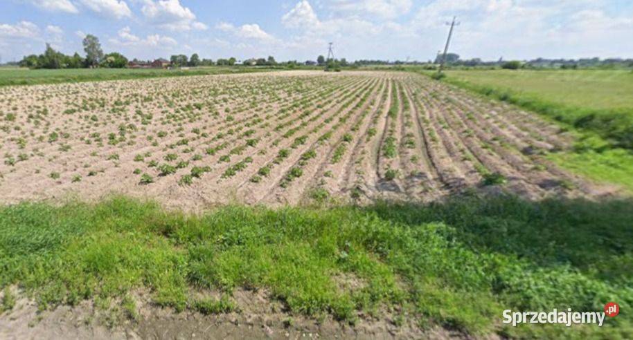 Działka rolna 18700m2 Święcice gm Ożarów 18700m2