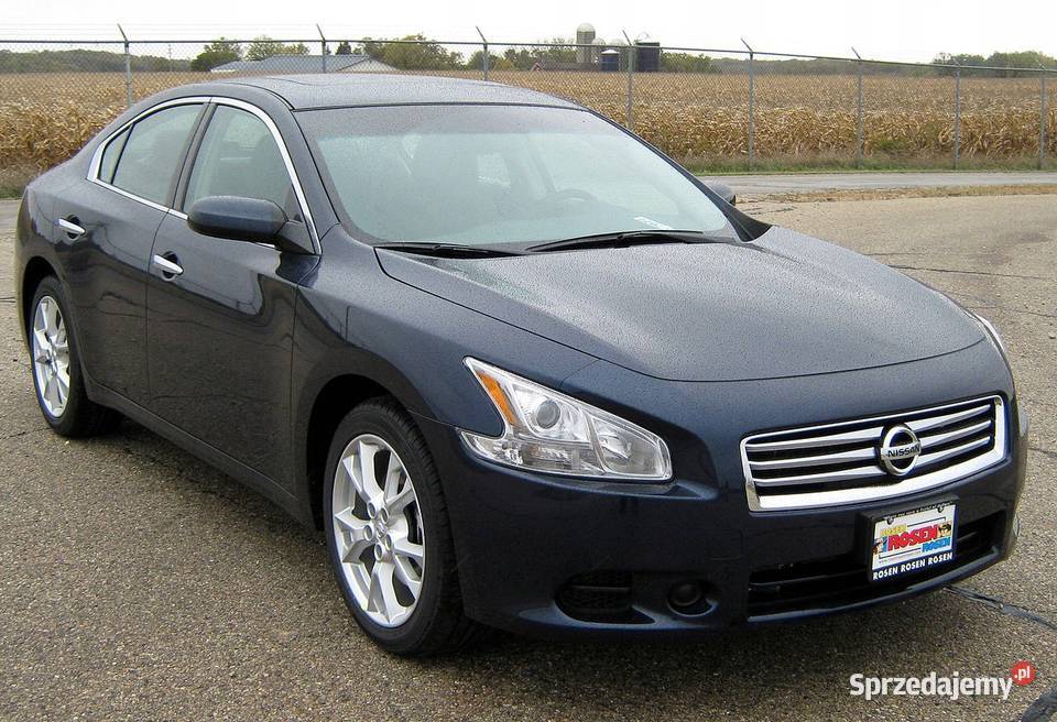 USZCZELKA DRZWI PRAWY TYŁ NISSAN MAXIMA A35 Nowy Tomyśl