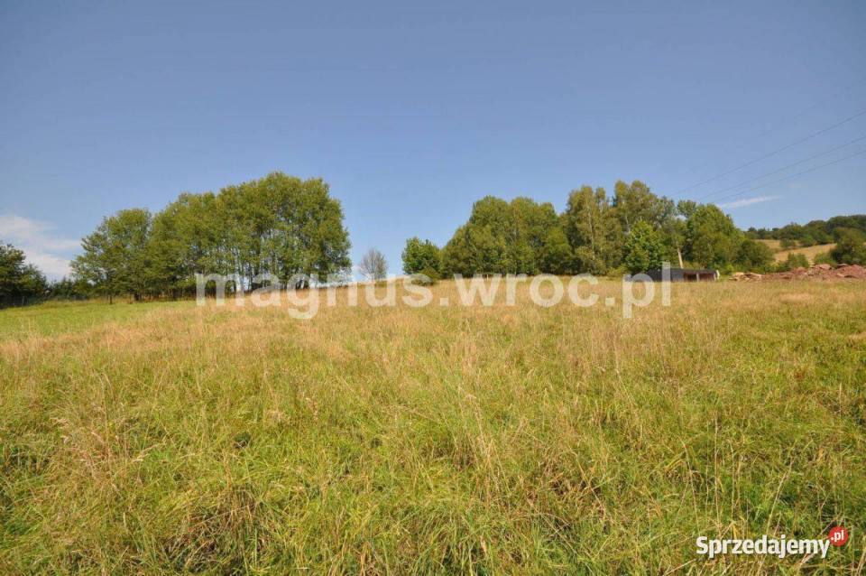 Widokowa działka budowlana na lekkim stoku utwardzona Głuszyca sprzedam