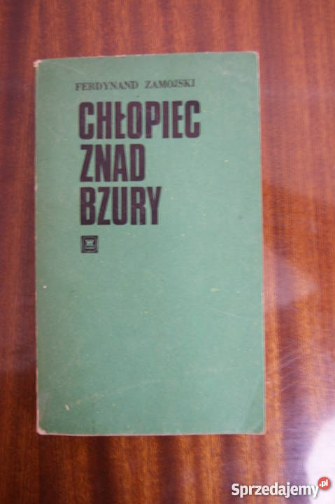 Ferdynand Zamojski Chłopiec znad Bzury Parczew sprzedam