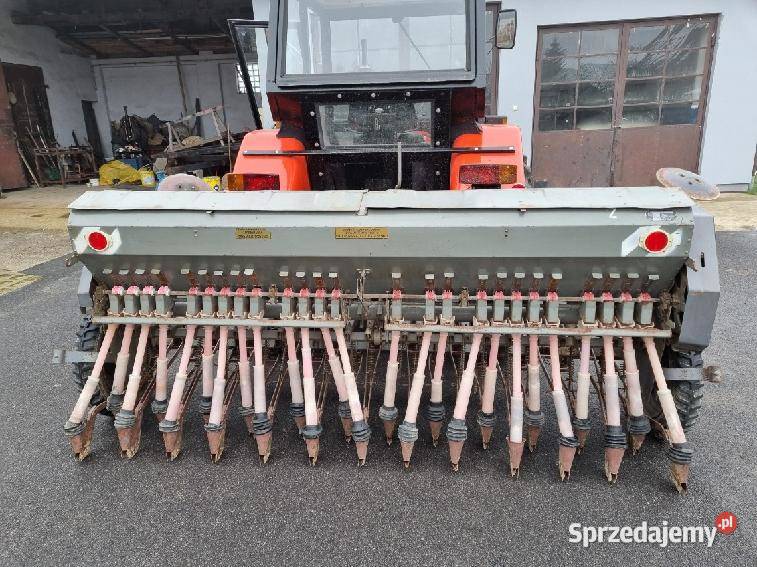 Siewnik Poznaniak łódzkie