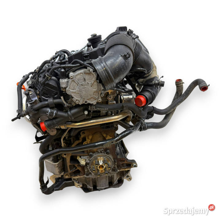 SILNIK CBD CBDC VW Golf VI Golf V Plus Passat B6 Silniki kompletne Chełm sprzedam