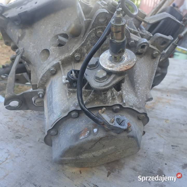 Skrzynia biegów Fiat Scudo 20 Hdi 20MB13 Skrzynie biegów Mielec