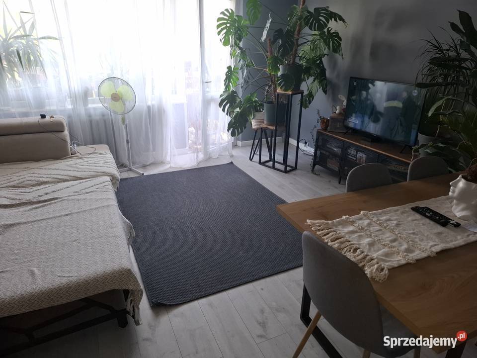 Mieszkanie 52 m2 parter