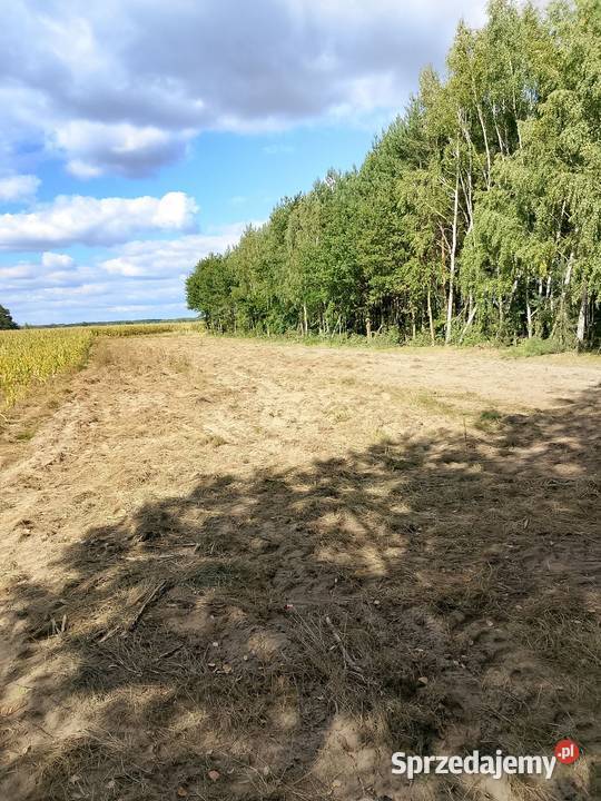 Działka rolna rekreacyjna Podwody-Kolonia