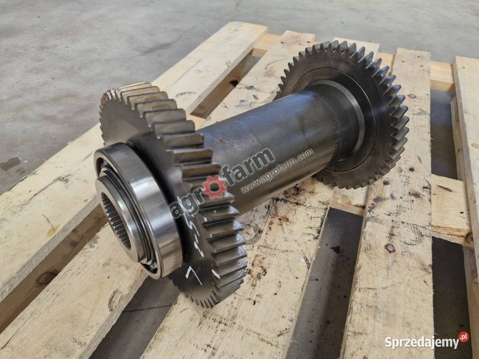 Koło zębate Z4853 Case Magnum 235 250 260 Byków