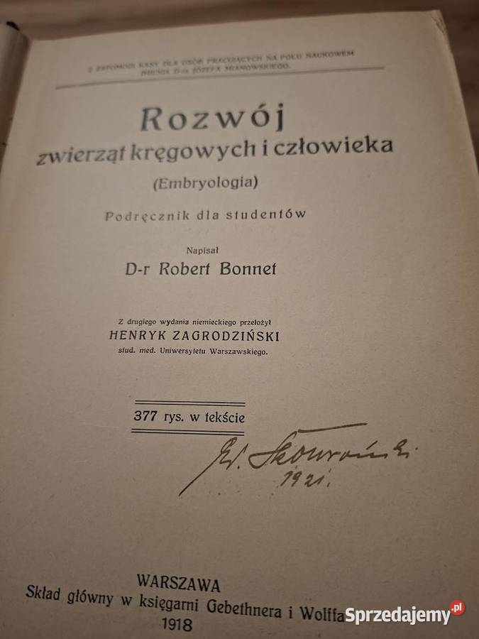 Rozwój zwierząt kregowych i człowieka antyk Nowa Sól sprzedam