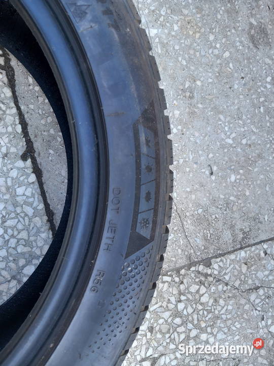 Minerwa allseson master 2254517 Żary