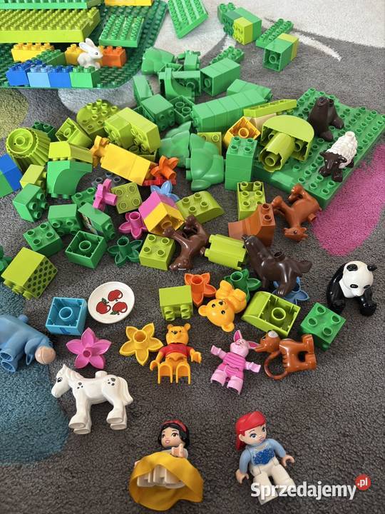LEGO Duplo wielki zestaw z płytką konstrukcyjną Klocki Katowice