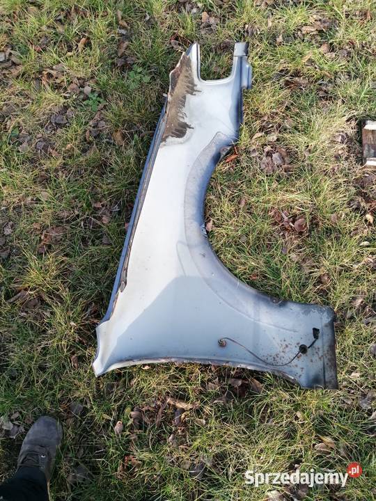 Ford Sierra błotnik Błotniki sprzedam