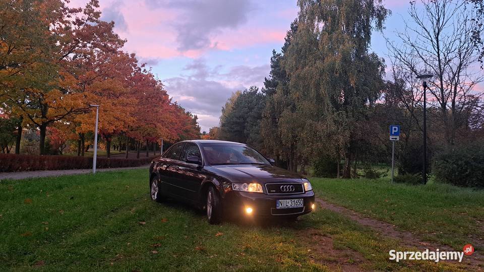 Audi a4 b6 światła przeciwmgielne Lubawa sprzedam