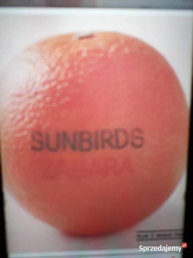 Archiwum jazz rocka SUNBIRDS Zagara 1973 Rzeszów sprzedam