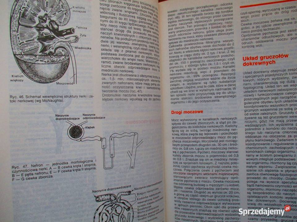 Domowy poradnik medyczny Janicki medycyna zdrowie, pierwsza pomoc Łódź sprzedam