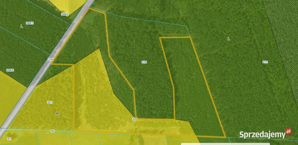 Sprzedam działkę 7 ha wsi RywocinyGmina Rywociny