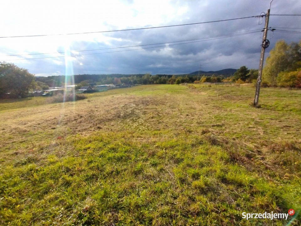 sprzedaży działki Daleszyce 799m2 799m2