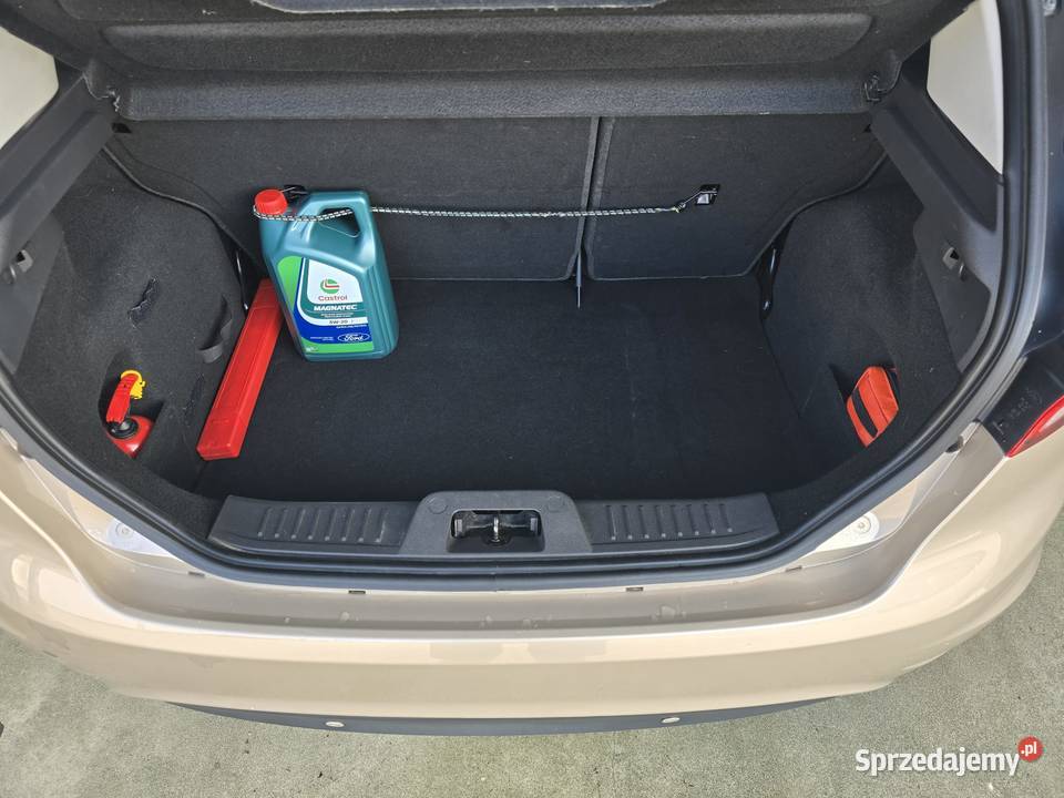 Ford Fiesta 10 EcoBoost 100 Salon Serwis sprzedam