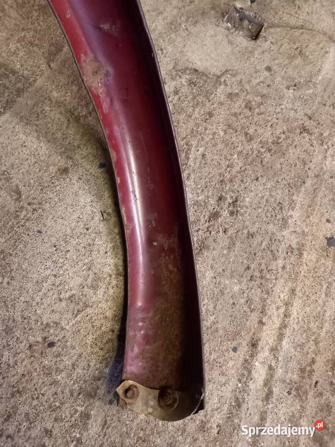 Blotnik przedni komar sztywniak sprzedam