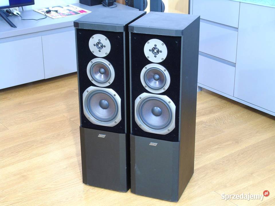 Świetne kolumny stereo ASW Sonus DC 100 sprawne