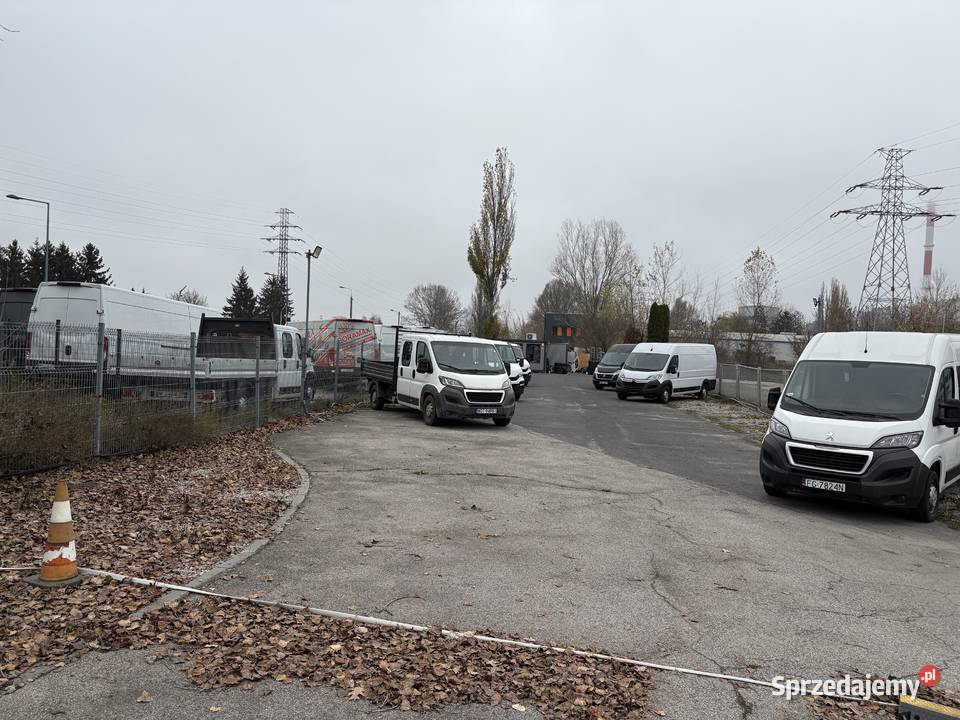 Do wynajęcia dziełka Augustowka 22 Warszawa