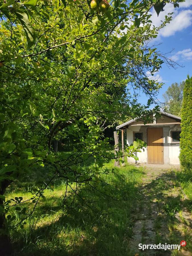 Duży ogródek działkowy ROD Sosnowiec 855m2