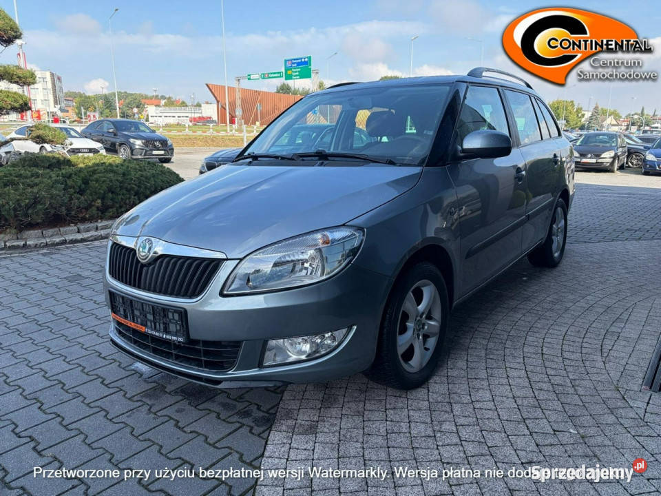 koda Fabia Stan pierwszy właściciel II 20072014 śląskie Żory