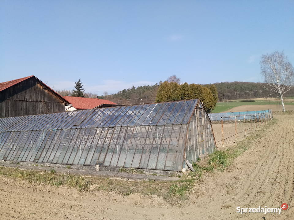 Dom i gospodarstwo rolniczoogrodnicze Domy Sancygniów
